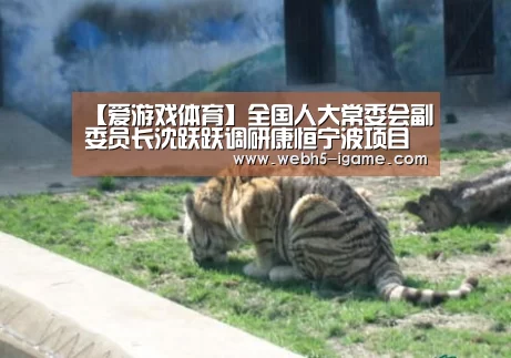 【爱游戏体育】全国人大常委会副委员长沈跃跃调研康恒宁波项目(图1) 爱游戏体育