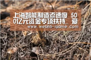 爱游戏体育